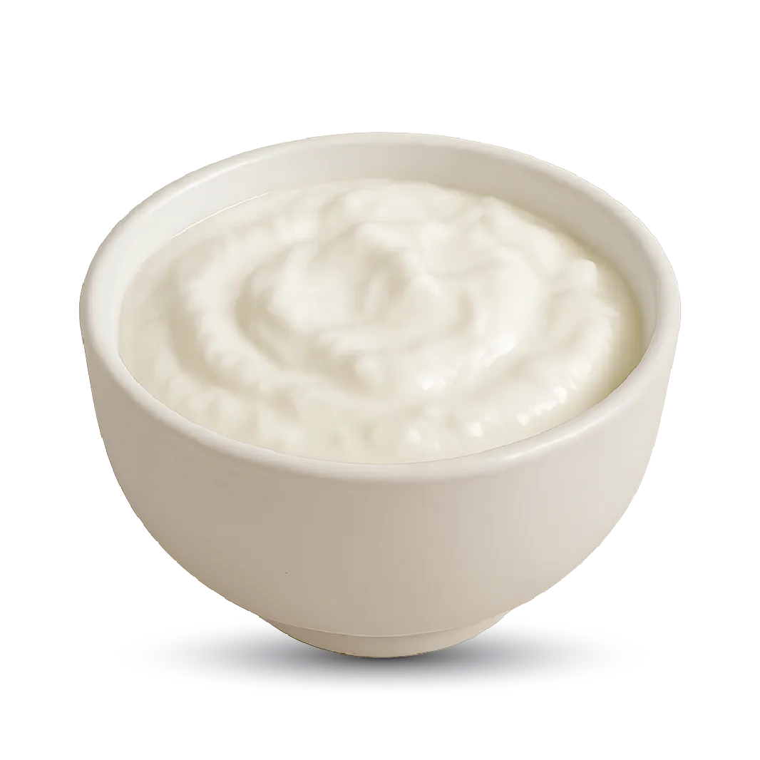 Creamy Thick Curd (Dahi)